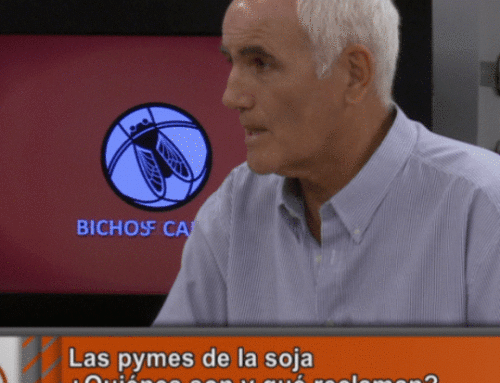 El expeller de soja de las extrusoras pyme en Argentina paga retenciones igual que una aceitera de 10 mil toneladas/día